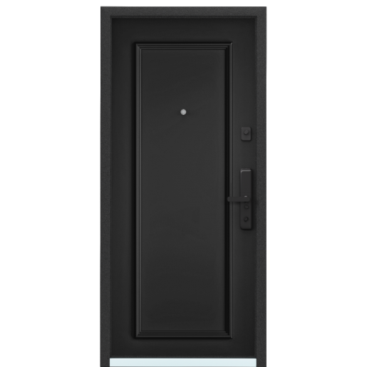 Входная дверь Torex CYBER ЛКП глубокий чёрный / ЛКП глубокий чёрный CBR-11