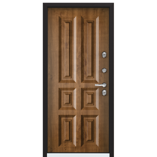 Входная дверь Torex SNEGIR 20 MP RAL 8019 / Дуб медовый