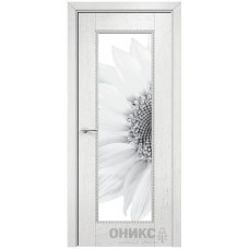 Межкомнатная дверь Оникс Александрия 1 Белая эмаль патина серебро фотопечать №5