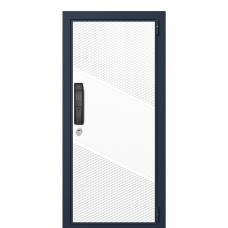 Входная дверь Portalle Electra Biometric Ral 9003, Ral 9003